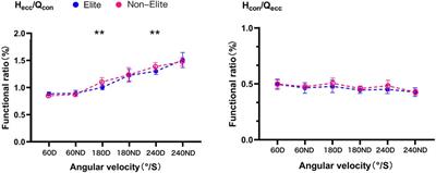 Lower extremity isokinetic strength characteristics of amateur boxers